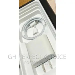 Test and See De Enjoyable iPhone Type C Fast Charger 2pin