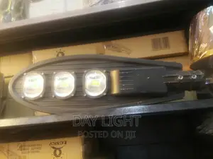 Flood / Street Light