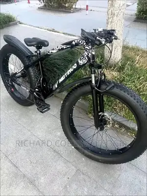 The Bike Master