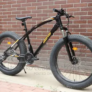 The Bike Master
