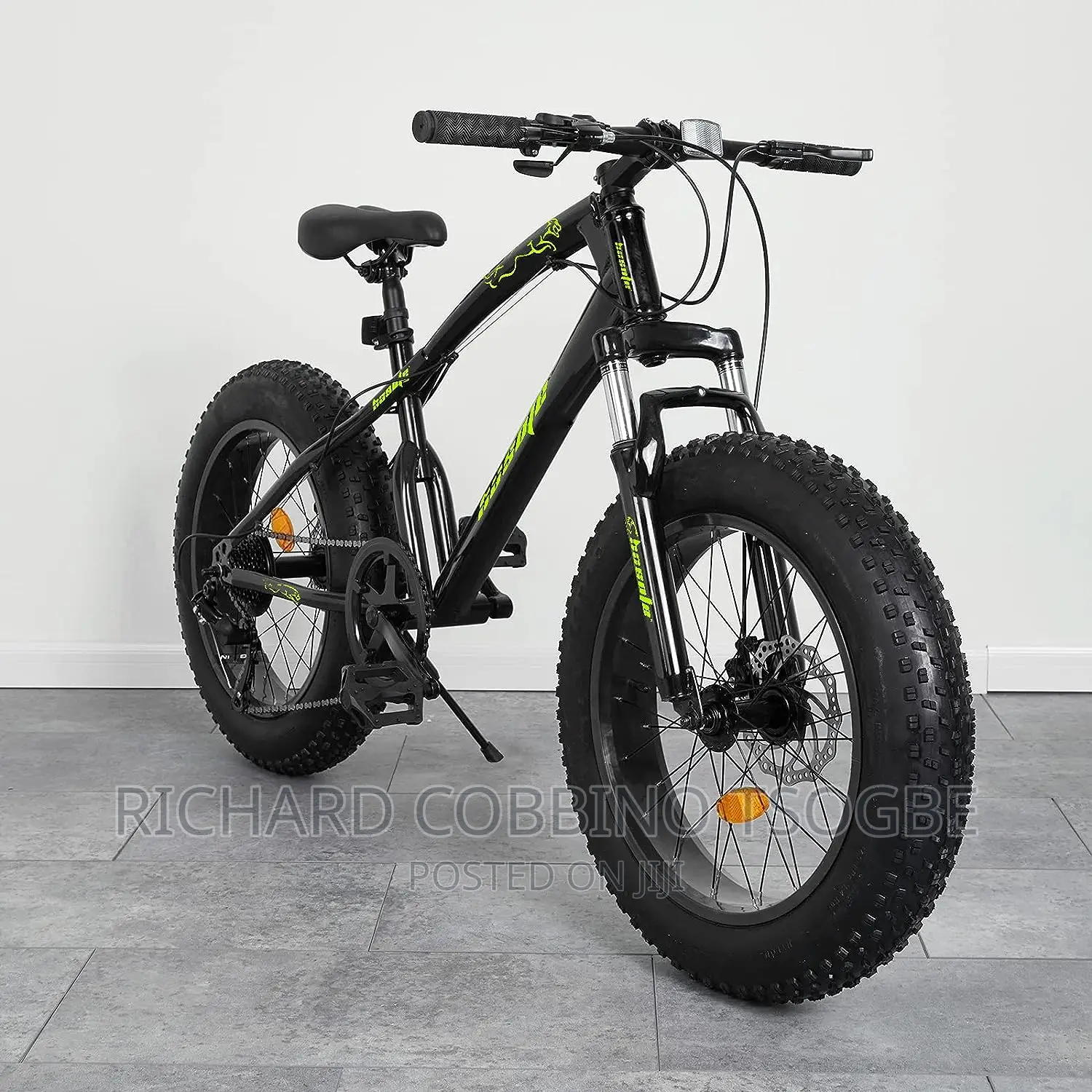 The Bike Master