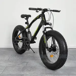 The Bike Master