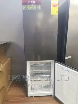 TCL 231L Dual Door Unique Fridge