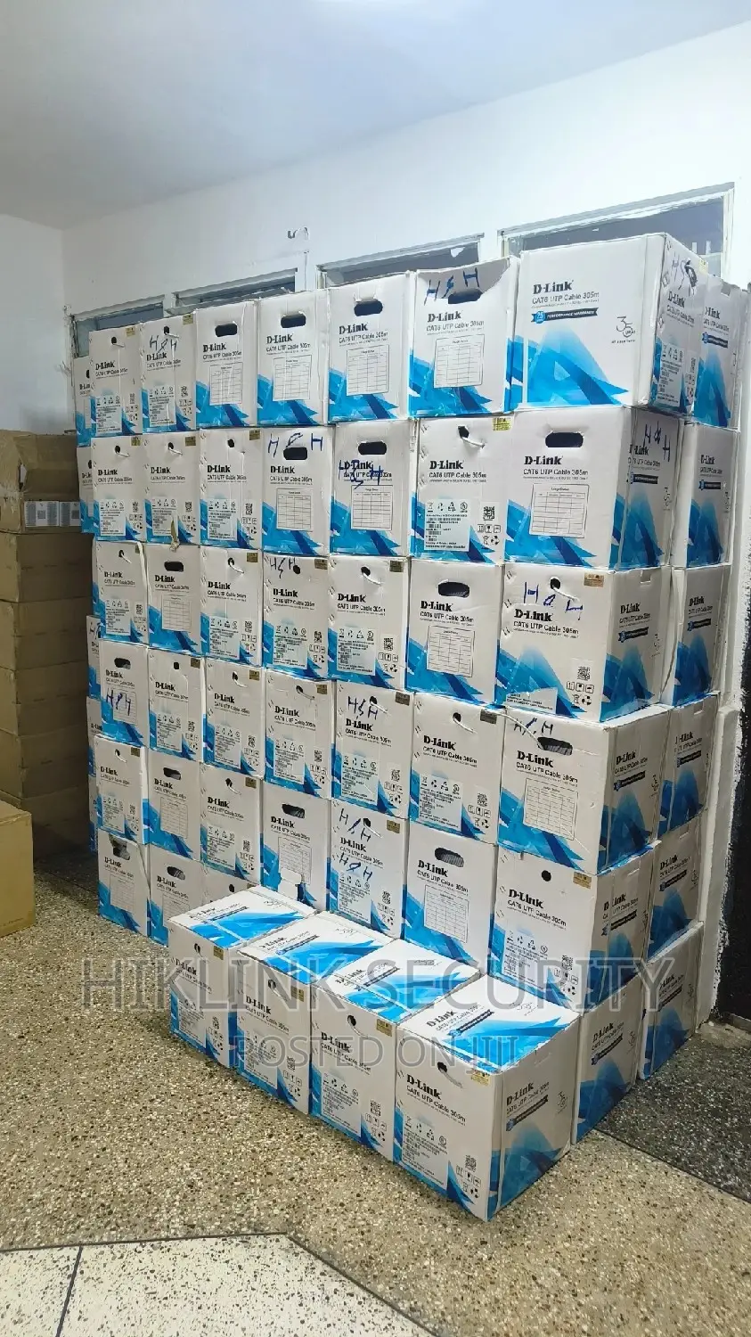 D-Link Cat6 Cable