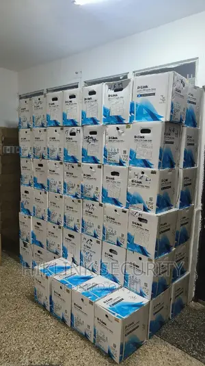 D-Link Cat6 Cable