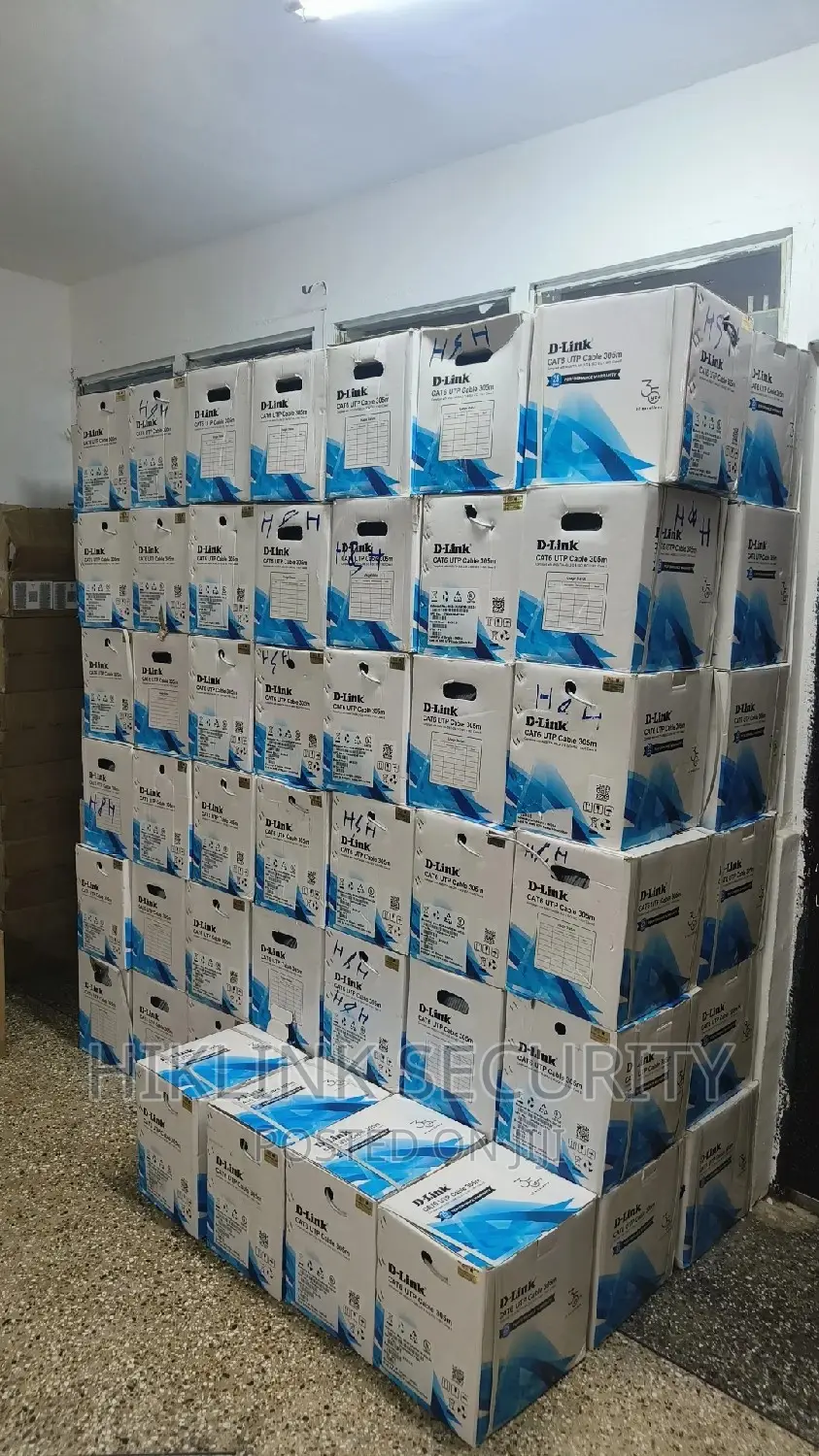D-Link Cat6 Cable