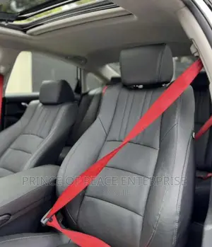 Seat Belt for All Cars 5 Sets