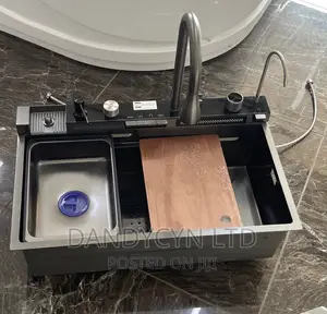 Automatic Kitchen Sink