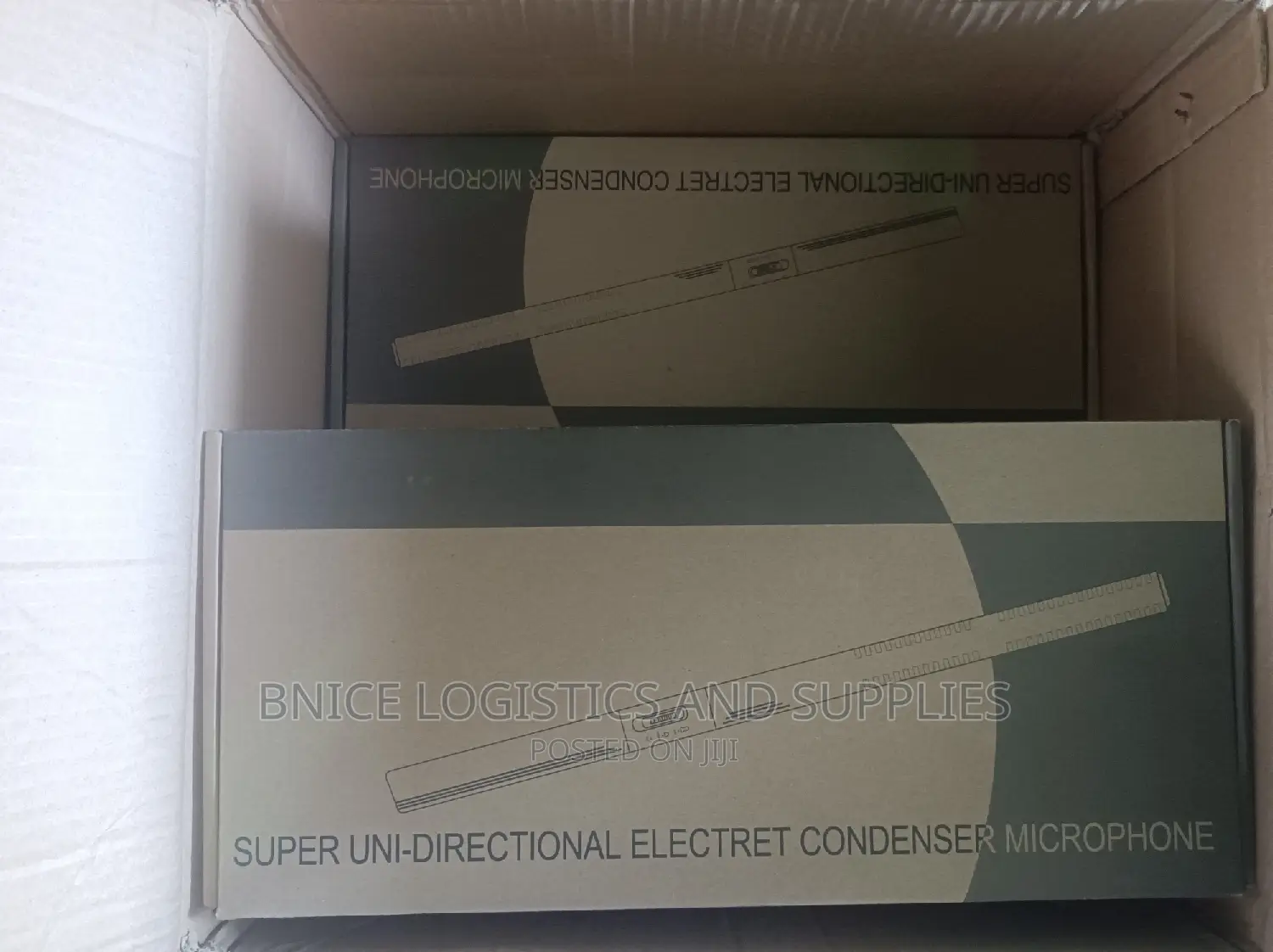 Panasonic Interview Microphone