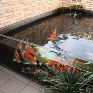 Glass Fish Pond