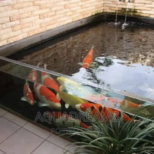 Glass Fish Pond