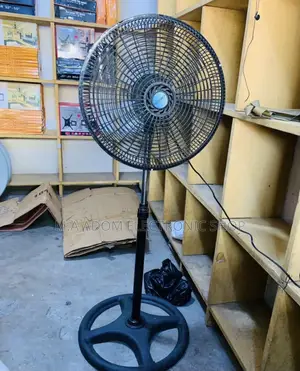Well Designed Merijo’S 18” Electric Standing Fan(Black).