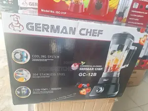 Professional Commercial Blender - 2l