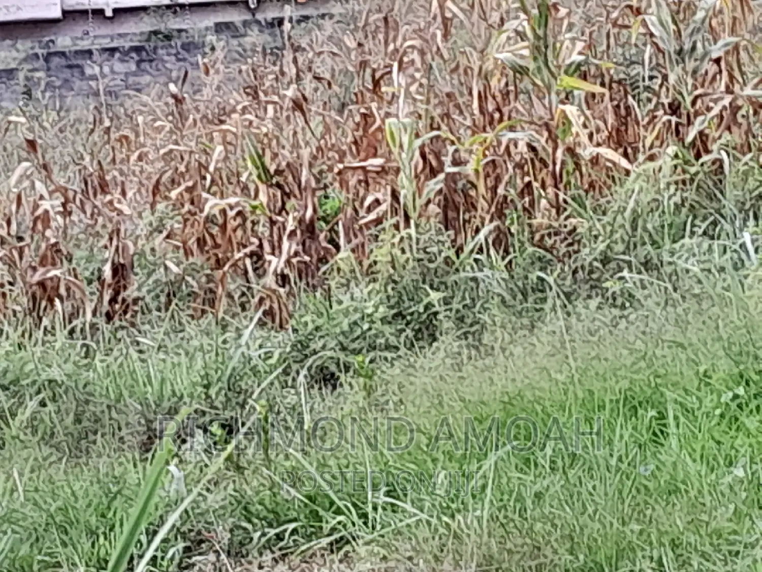 Plot for Sale at Effia Nkwanta