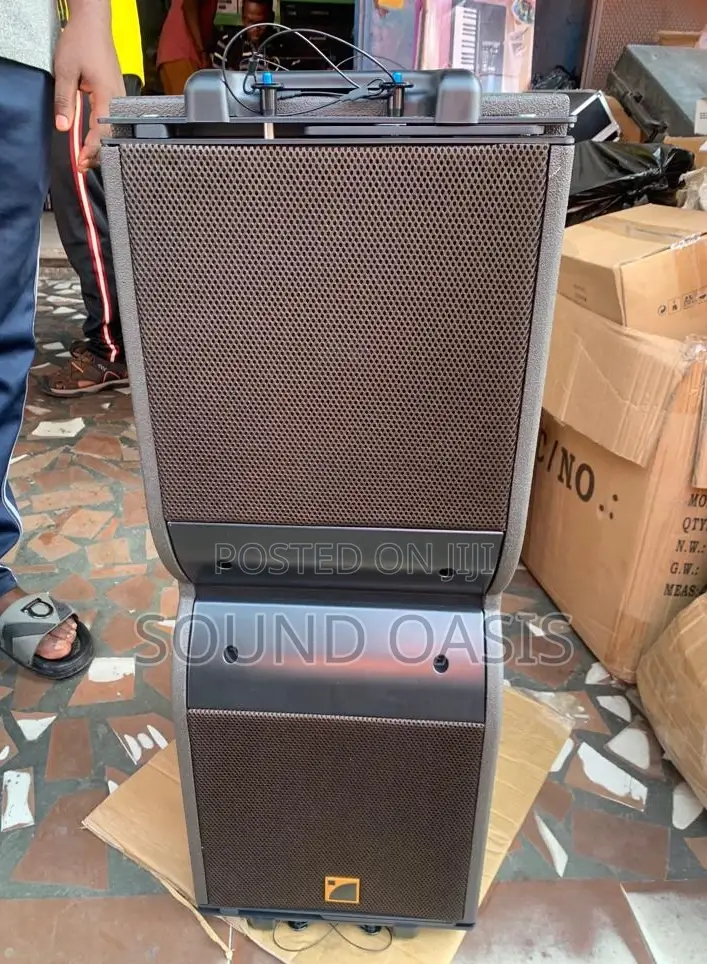 10inches Single Line Array Speaker