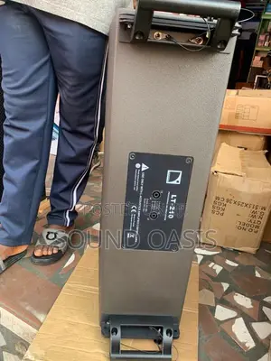10inches Single Line Array Speaker