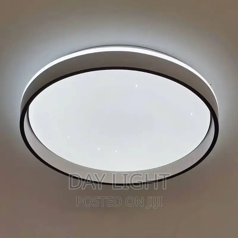 Modern Ceiling Light.
