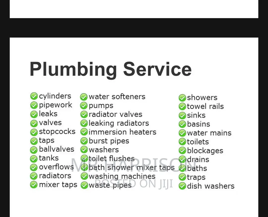 Mr Plumber
