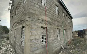 Professional Blocks Laying and Plastering