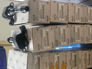 Genuine Lgnition Coils