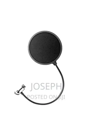 Microphone Filters