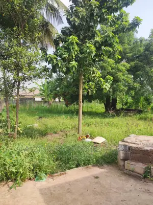 0.52 Acre of Roadside Land for Sale at Ringway Estate