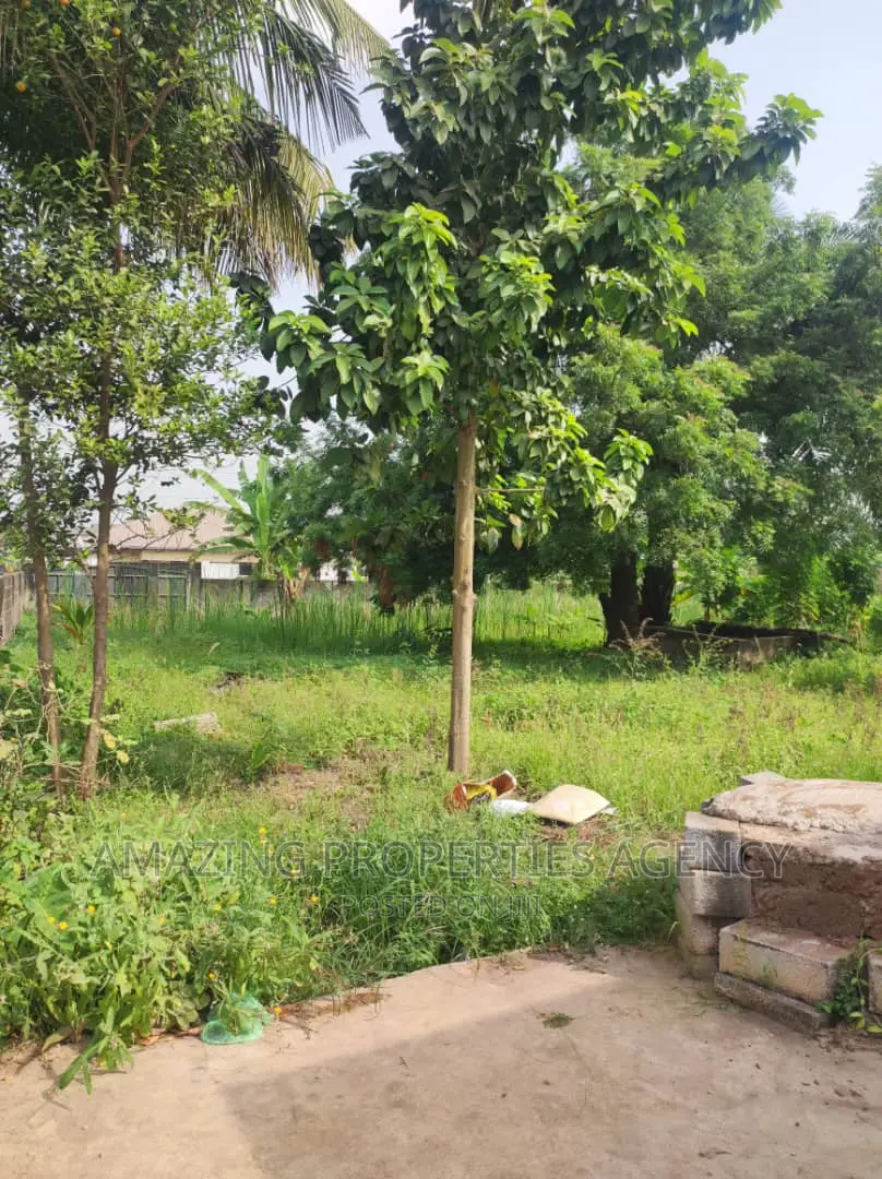 0.52 Acre of Roadside Land for Sale at Ringway Estate