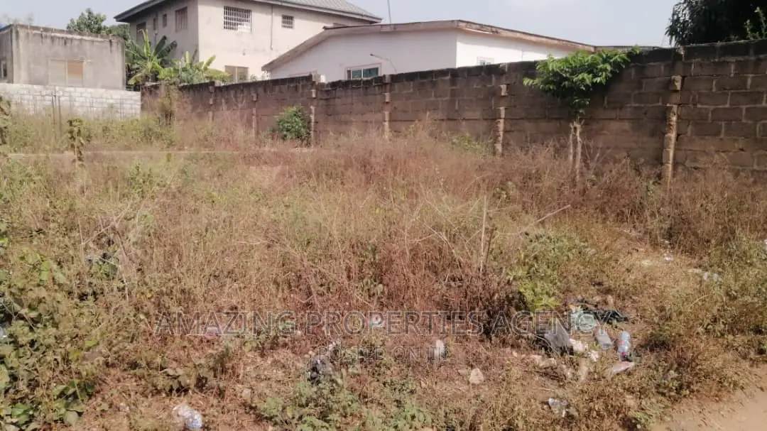 2 Plots of Main Roadside Land Available for Sale at Lashibi