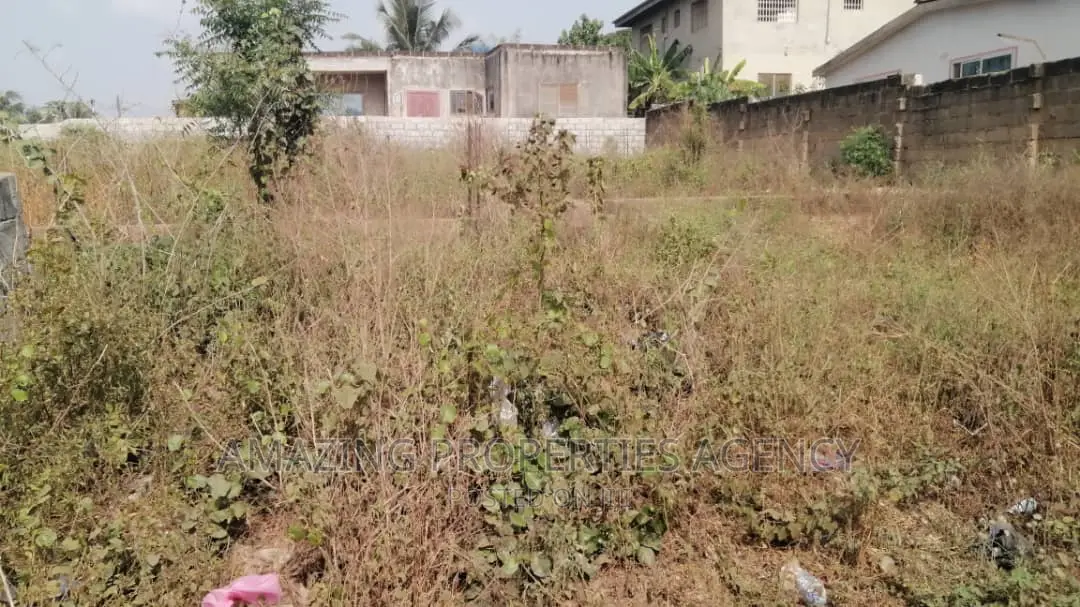2 Plots of Main Roadside Land Available for Sale at Lashibi