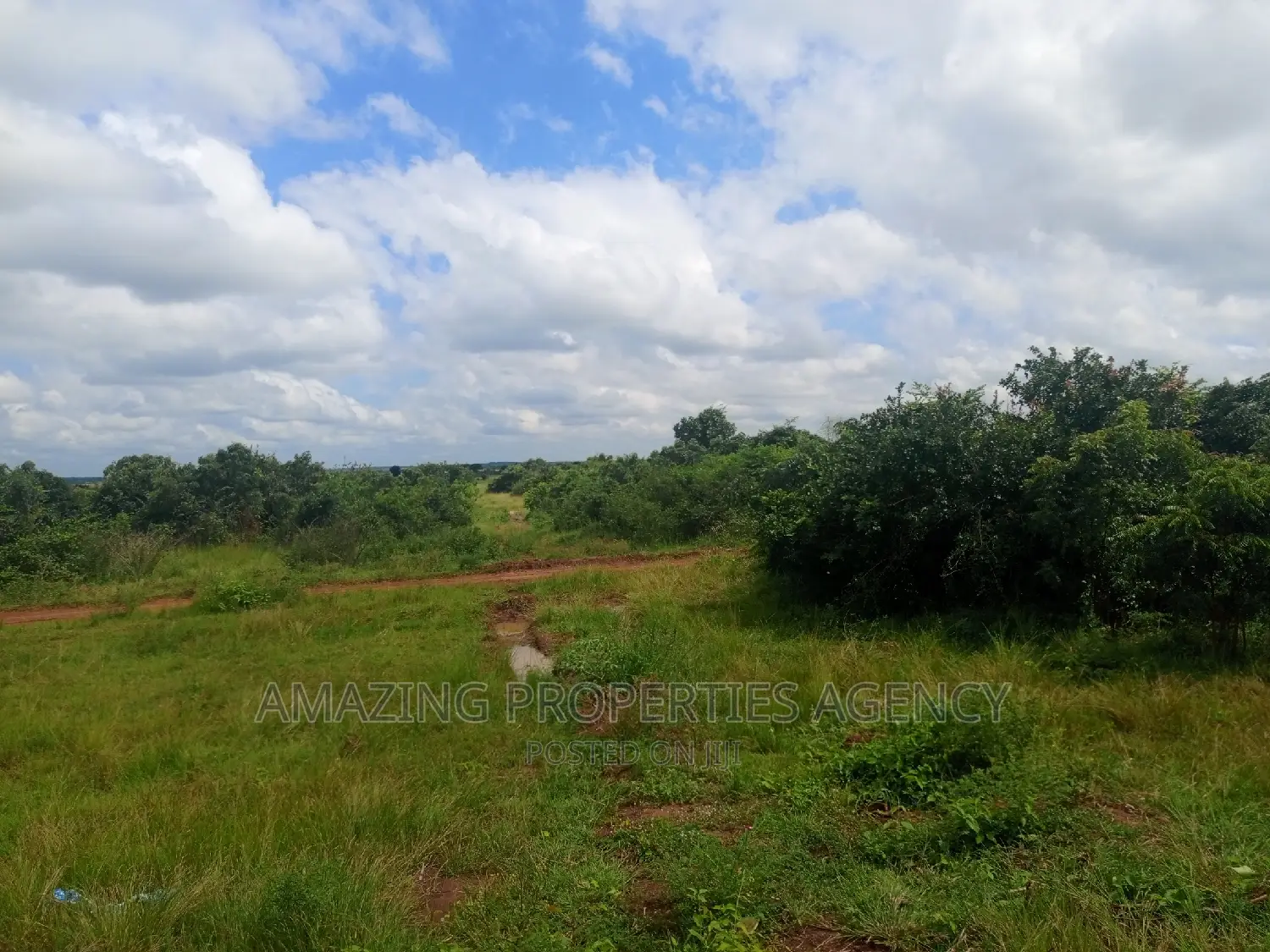 20 Acres of Roadside Land for Sale West Trasacco Borteyman.