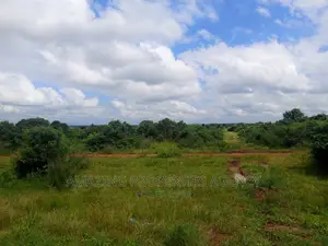 20 Acres of Roadside Land for Sale West Trasacco Borteyman.