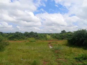 20 Acres of Roadside Land for Sale West Trasacco Borteyman.