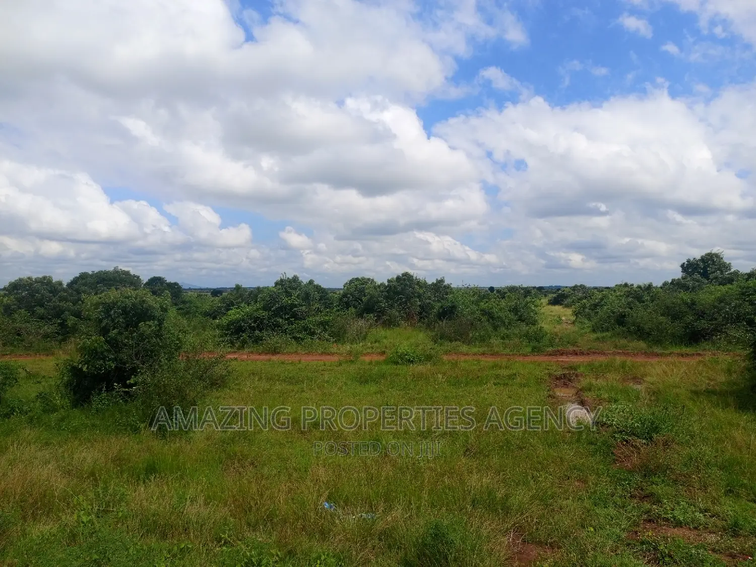 20 Acres of Roadside Land for Sale West Trasacco Borteyman.