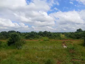 20 Acres of Roadside Land for Sale West Trasacco Borteyman.