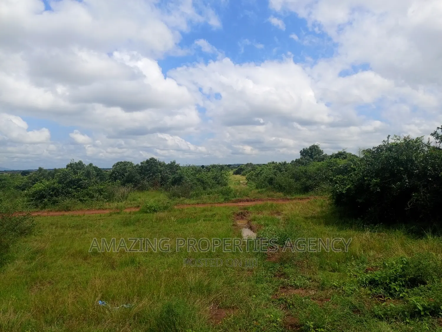 20 Acres of Roadside Land for Sale West Trasacco Borteyman.