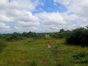 20 Acres of Roadside Land for Sale West Trasacco Borteyman.