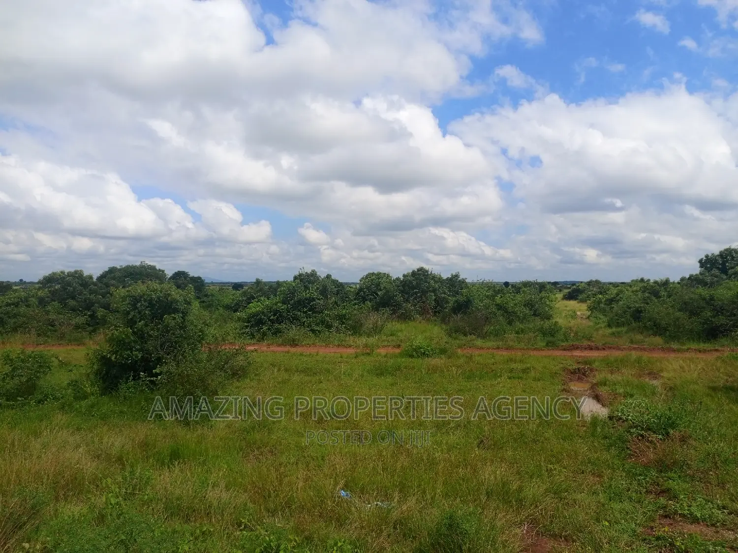 20 Acres of Roadside Land for Sale West Trasacco Borteyman.