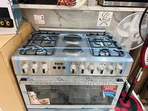 Sliver Gas Cooker Oven Rotisserie 4-2 *Ferre