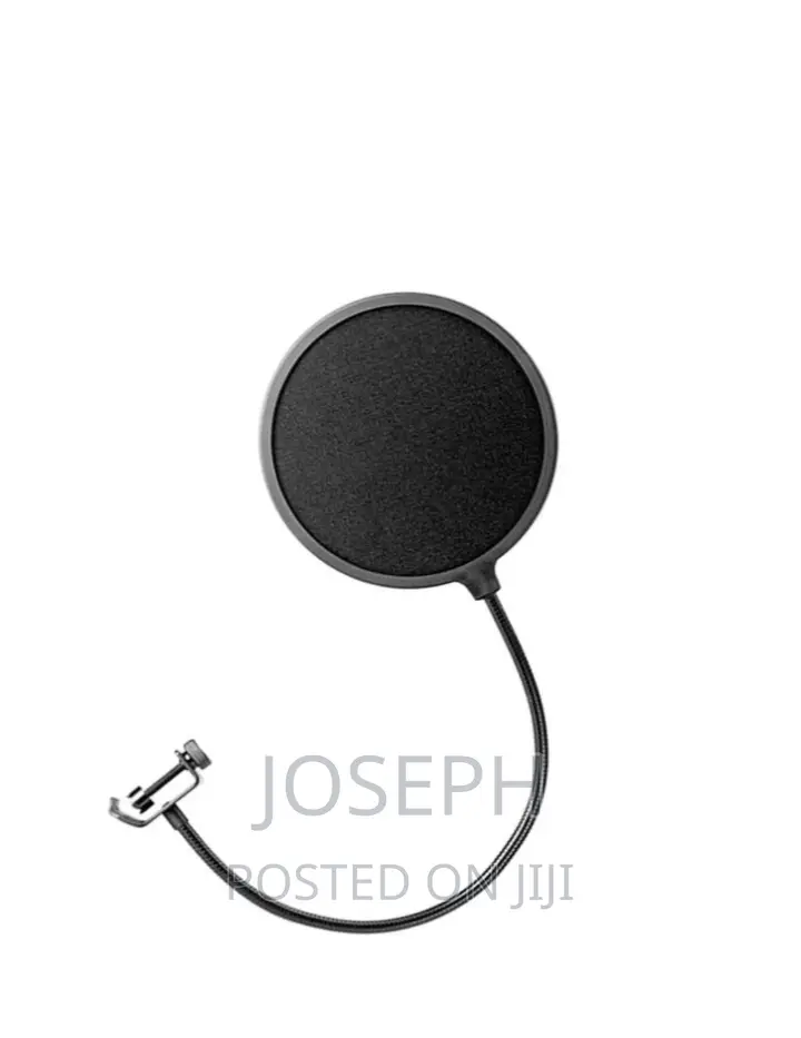Microphone Filters