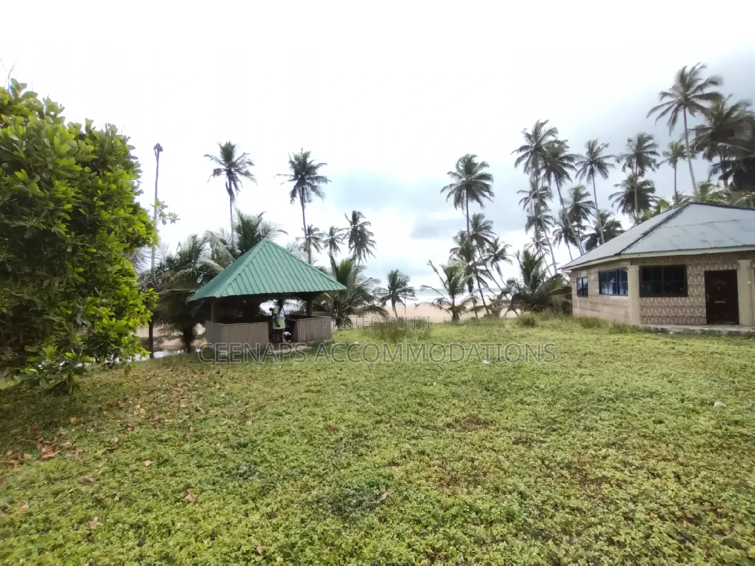 Beach Property
