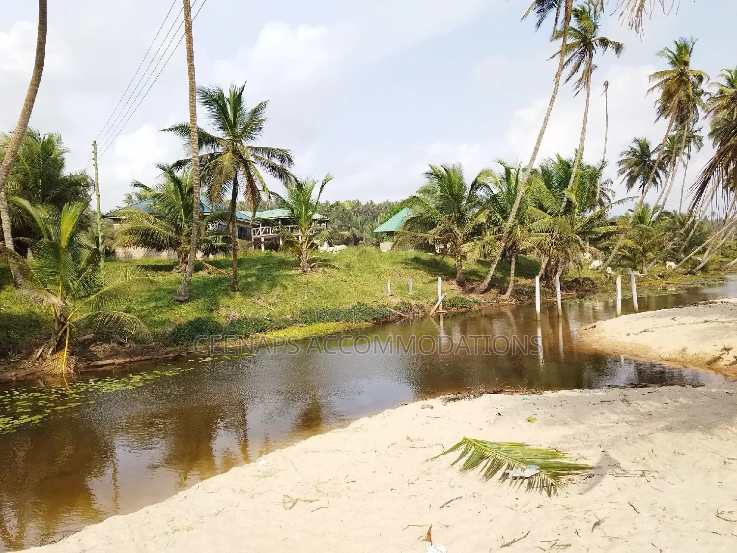 Beach Property