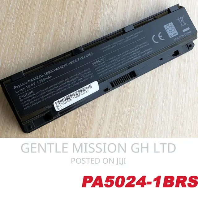 Toshiba Satellite (5024)