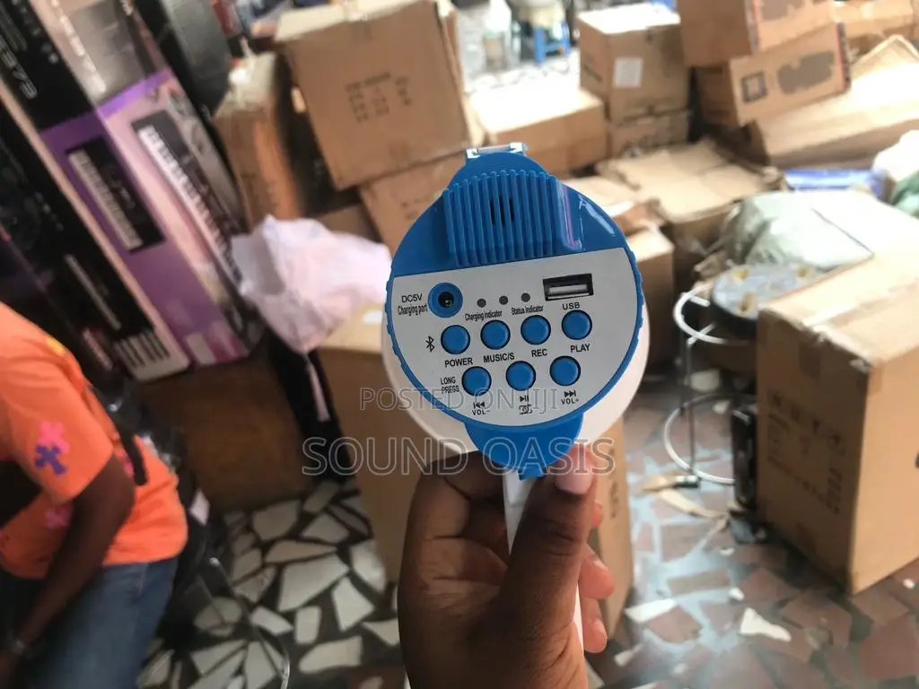 Mini Megaphone