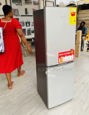 Best Zara 240BF Double Door Refrigerator With Shelves 