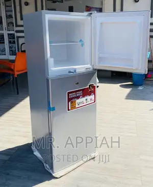 Budget-Friendly Zara 22TM Double Door Refrigerator 