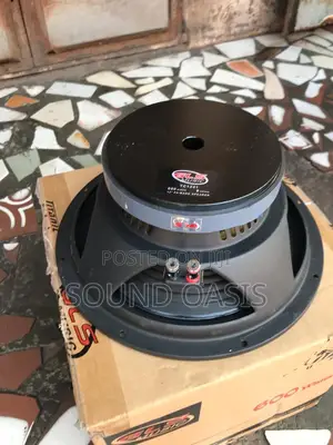 GLS TC-1241 15inches Passive Naked/ Array Speakers