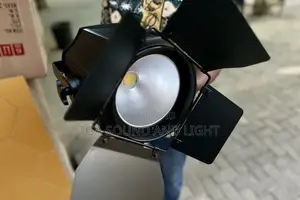 Cob 200 Watts Par Light