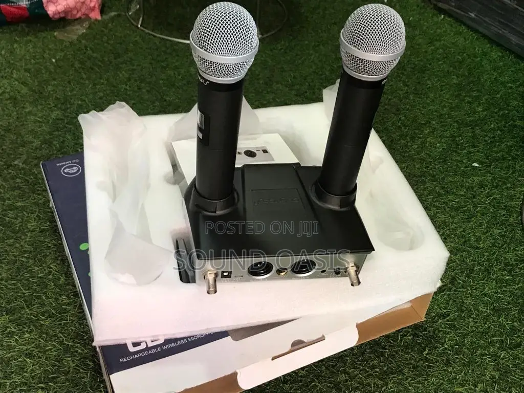 Shengfu Professional Wireless Dual Microphone System