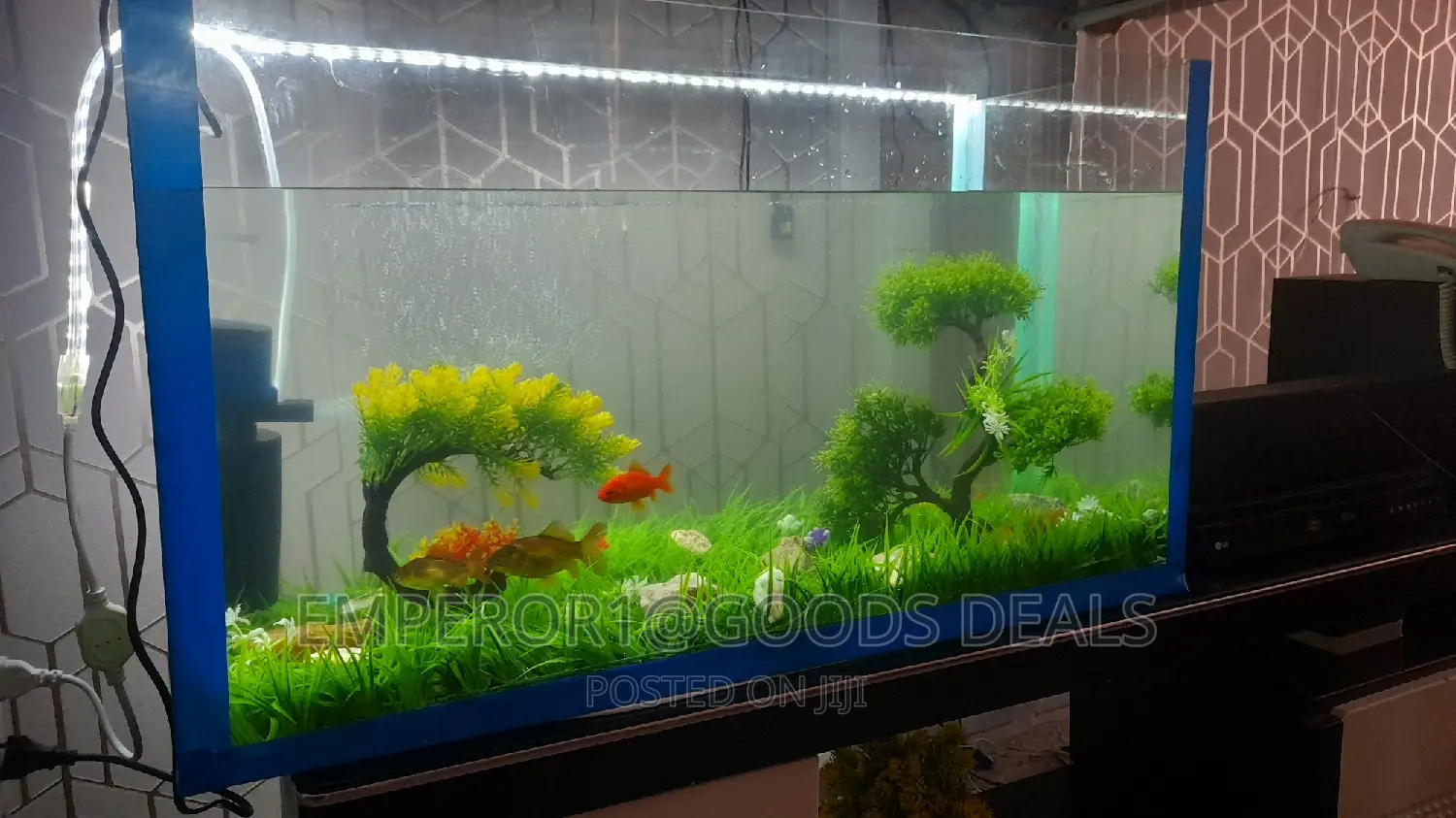 Aquarium With Fish