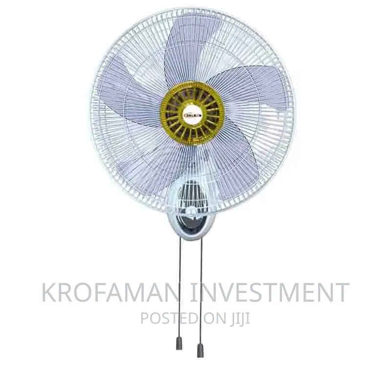 Delron 18" Wall Fan 2 in 1
